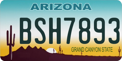 AZ license plate BSH7893