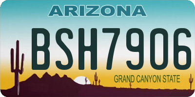 AZ license plate BSH7906