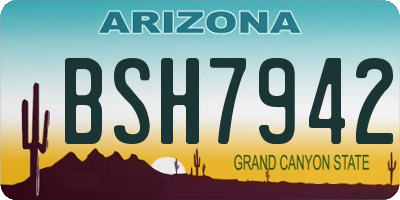 AZ license plate BSH7942
