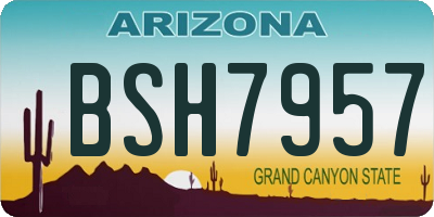 AZ license plate BSH7957