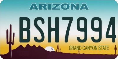 AZ license plate BSH7994