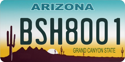 AZ license plate BSH8001