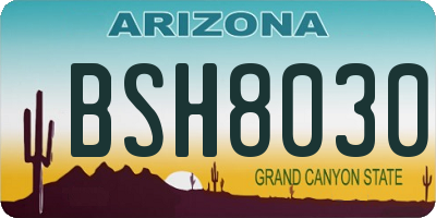 AZ license plate BSH8030