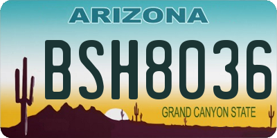 AZ license plate BSH8036