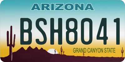 AZ license plate BSH8041