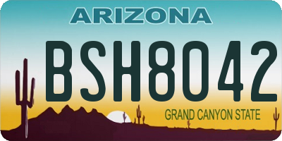 AZ license plate BSH8042