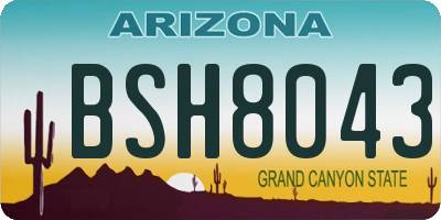 AZ license plate BSH8043