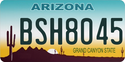 AZ license plate BSH8045
