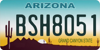 AZ license plate BSH8051