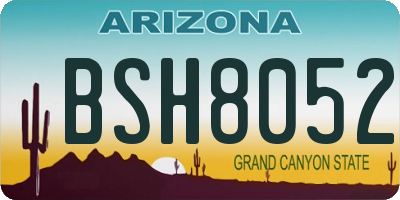 AZ license plate BSH8052