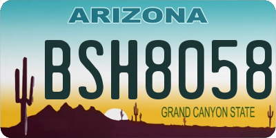 AZ license plate BSH8058