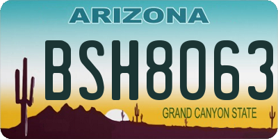 AZ license plate BSH8063
