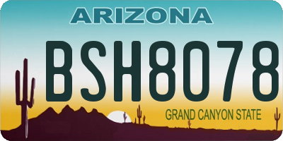 AZ license plate BSH8078