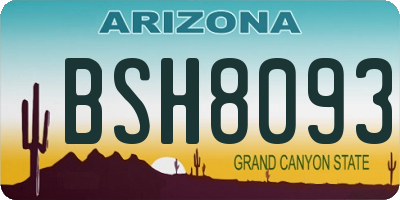 AZ license plate BSH8093