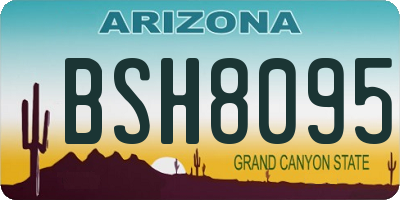 AZ license plate BSH8095