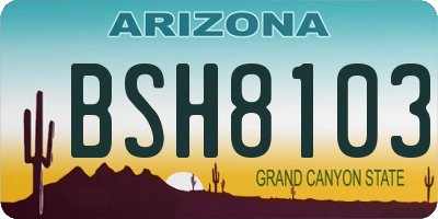 AZ license plate BSH8103