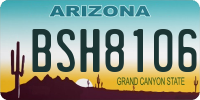 AZ license plate BSH8106