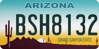AZ license plate BSH8132