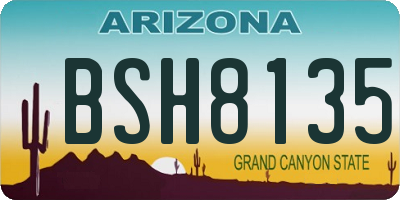 AZ license plate BSH8135