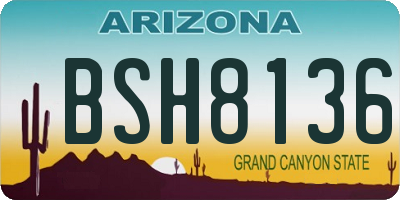 AZ license plate BSH8136