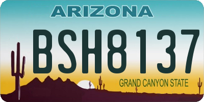 AZ license plate BSH8137