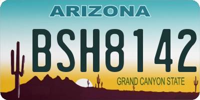 AZ license plate BSH8142