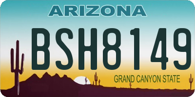 AZ license plate BSH8149