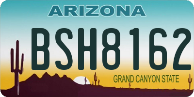 AZ license plate BSH8162