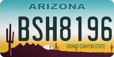 AZ license plate BSH8196