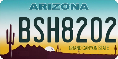 AZ license plate BSH8202