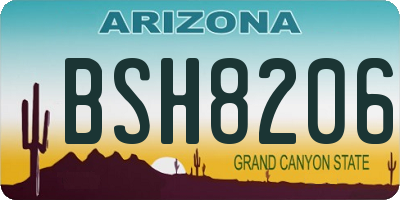 AZ license plate BSH8206