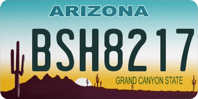 AZ license plate BSH8217