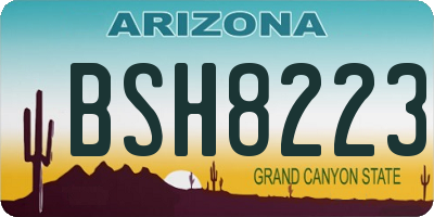 AZ license plate BSH8223