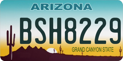 AZ license plate BSH8229