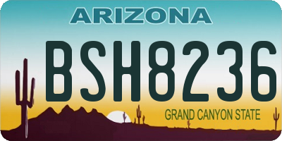 AZ license plate BSH8236