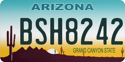 AZ license plate BSH8242