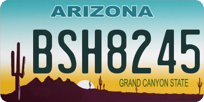 AZ license plate BSH8245