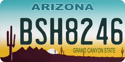 AZ license plate BSH8246