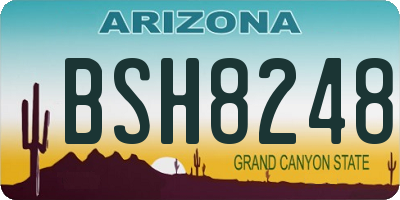 AZ license plate BSH8248