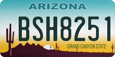 AZ license plate BSH8251