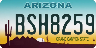 AZ license plate BSH8259