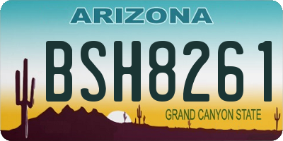 AZ license plate BSH8261
