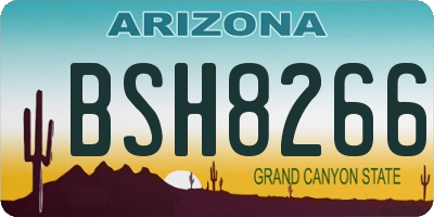 AZ license plate BSH8266