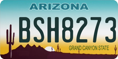 AZ license plate BSH8273