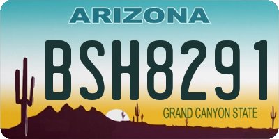 AZ license plate BSH8291