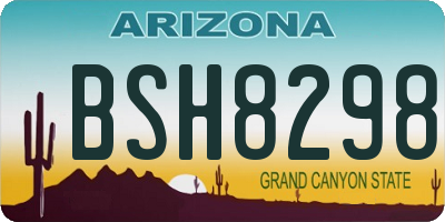 AZ license plate BSH8298