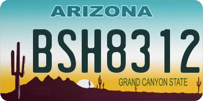 AZ license plate BSH8312