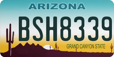 AZ license plate BSH8339