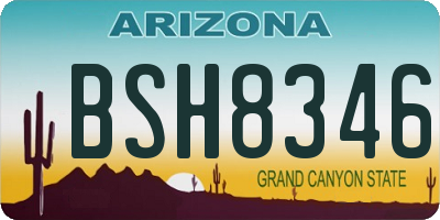 AZ license plate BSH8346