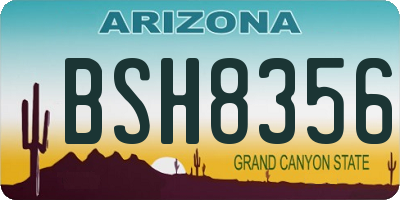 AZ license plate BSH8356